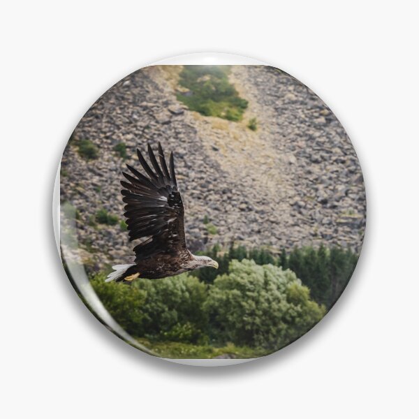 Item preview, Eagle in a forest in Norway designed and sold by XaviFotografia.