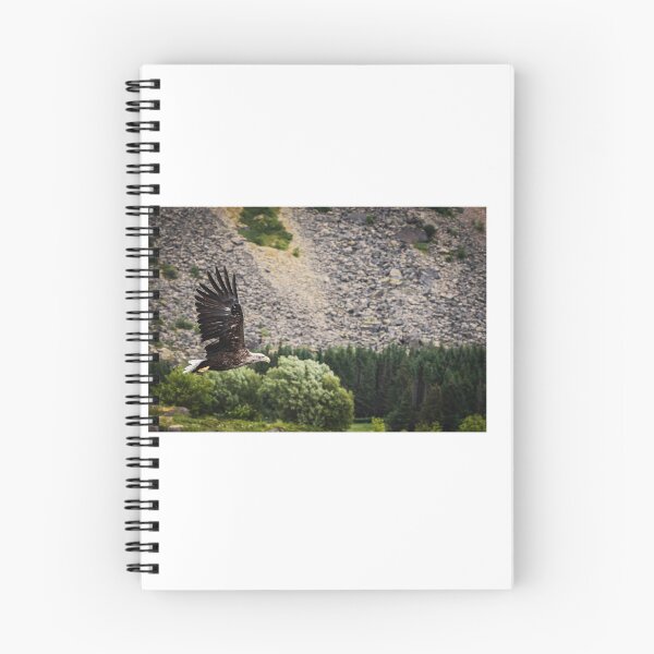 Item preview, Eagle in a forest in Norway designed and sold by XaviFotografia.