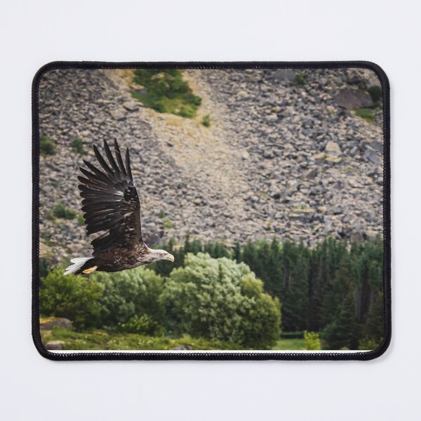 Item preview, Eagle in a forest in Norway designed and sold by XaviFotografia.
