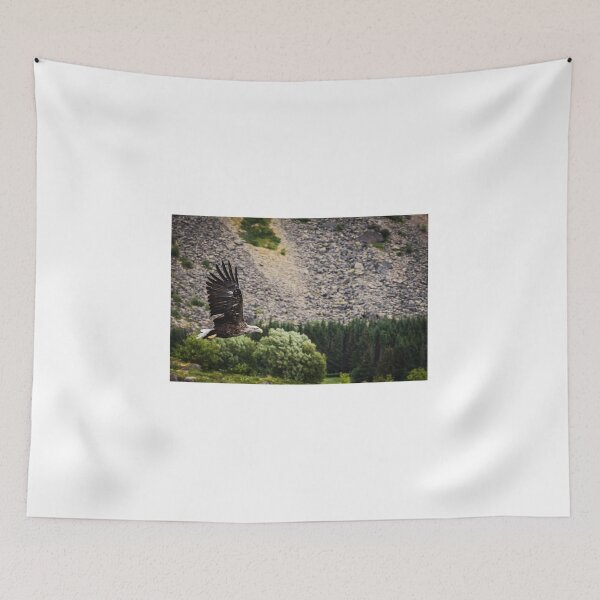 Item preview, Eagle in a forest in Norway designed and sold by XaviFotografia.