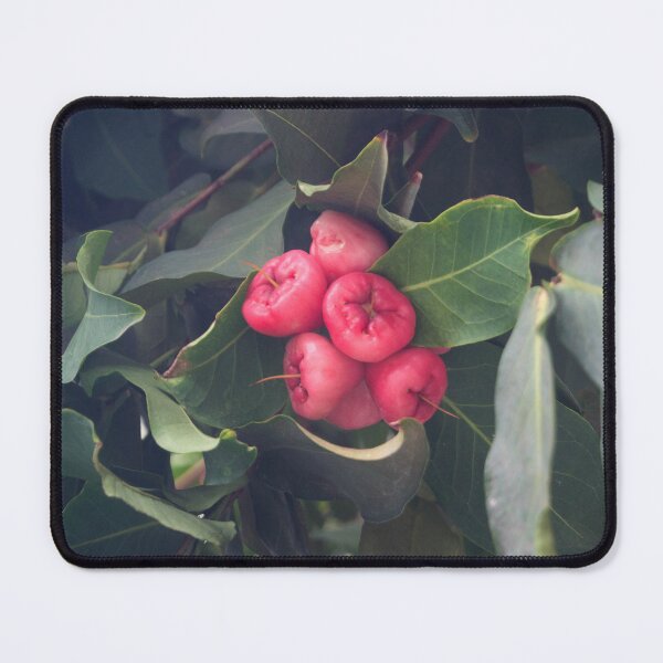 Item preview, Wax Apples designed and sold by ROSE ANN BANILAR.