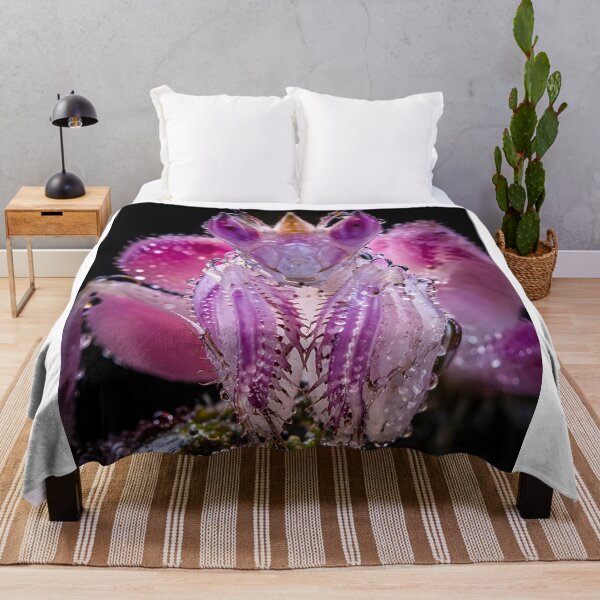 Item preview, Text: Fascinating pink orchid mantis with glittering water droplets designed and sold by Fotografin1981.