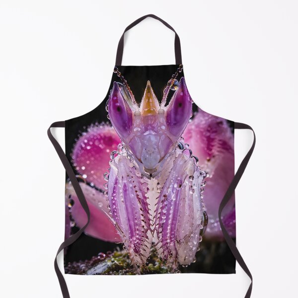 Item preview, Text: Fascinating pink orchid mantis with glittering water droplets designed and sold by Fotografin1981.