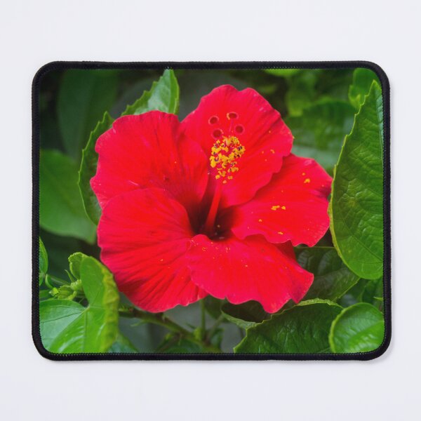 Item preview, Red Hibiscus_05 designed and sold by ROSE ANN BANILAR.