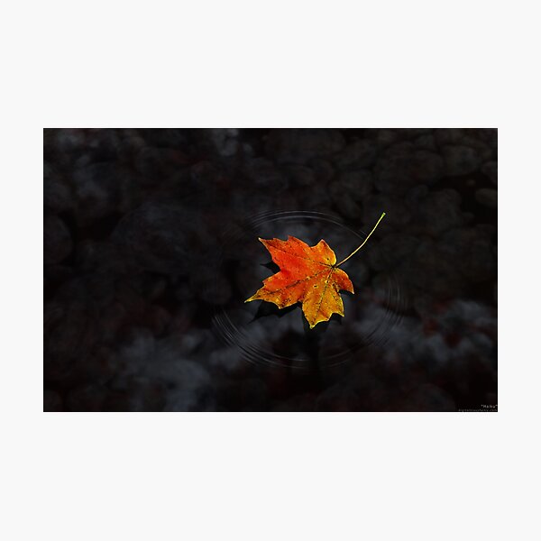 Haiku Photographic Print