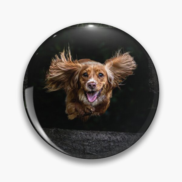 Item preview, Cocker Spaniel Mid-Flight designed and sold by Incakola1.