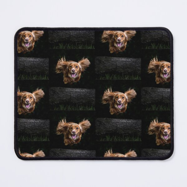 Item preview, Cocker Spaniel Mid-Flight designed and sold by Incakola1.