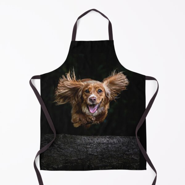 Item preview, Cocker Spaniel Mid-Flight designed and sold by Incakola1.