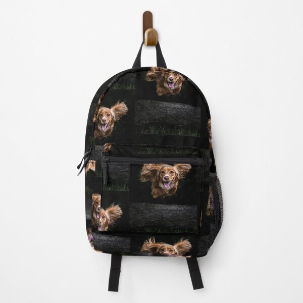 Item preview, Cocker Spaniel Mid-Flight designed and sold by Incakola1.