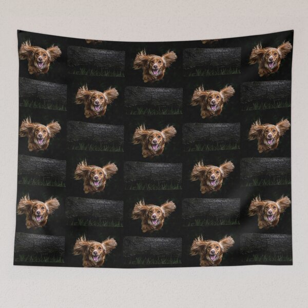 Item preview, Cocker Spaniel Mid-Flight designed and sold by Incakola1.