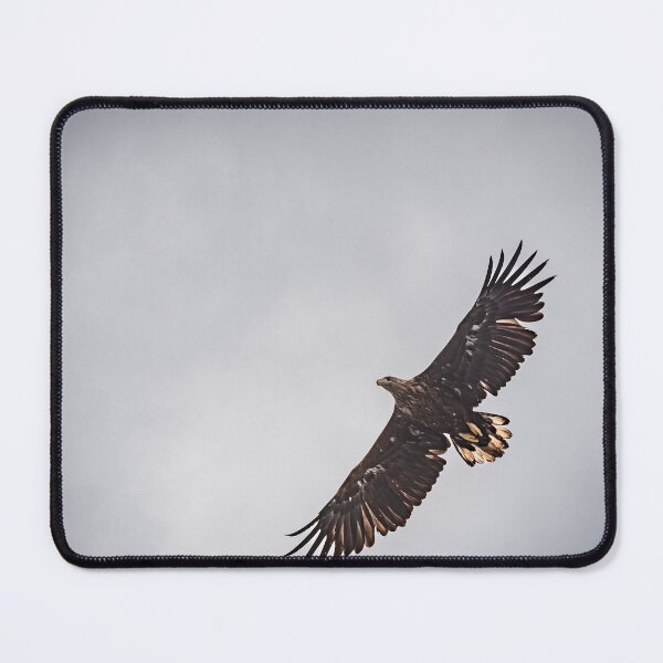 Item preview, Eagle silhouette designed and sold by XaviFotografia.