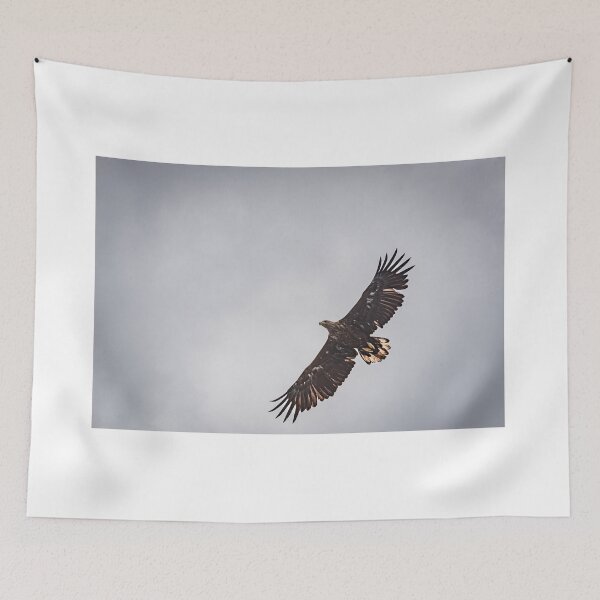 Item preview, Eagle silhouette designed and sold by XaviFotografia.