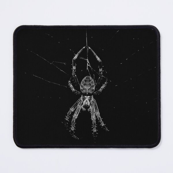 Item preview, Orb Weaver Spider on Web Black and White Photography designed and sold by inkoutninja.