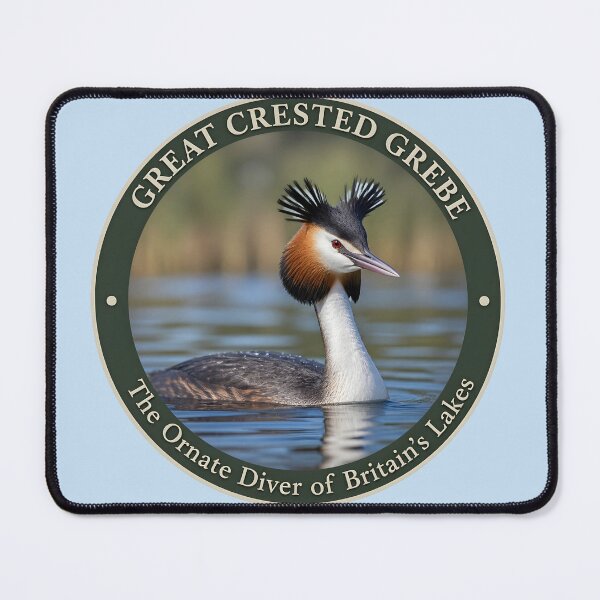 Item preview, Great Crested Grebe -- The Ornate Diver of Britain's Lakes designed and sold by The Digital Compass.