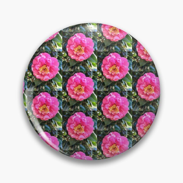Item preview, Pink Camellia in Full Bloom at Magpie Springs, Willunga Hill designed and sold by MagpieSprings.