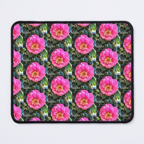 Item preview, Pink Camellia in Full Bloom at Magpie Springs, Willunga Hill designed and sold by MagpieSprings.