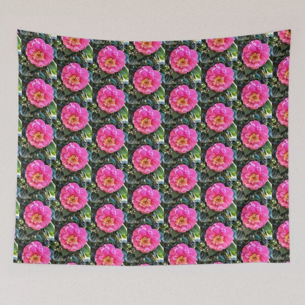 Item preview, Pink Camellia in Full Bloom at Magpie Springs, Willunga Hill designed and sold by MagpieSprings.