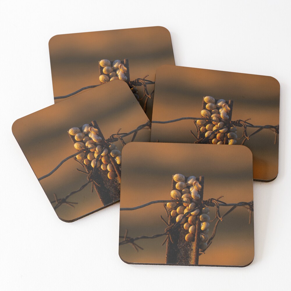 Item preview, Coasters (Set of 4) designed and sold by RalphGoldsmith.