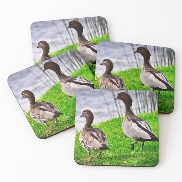 Item preview, Two ducks out for a stroll... designed and sold by Likoca Photography.