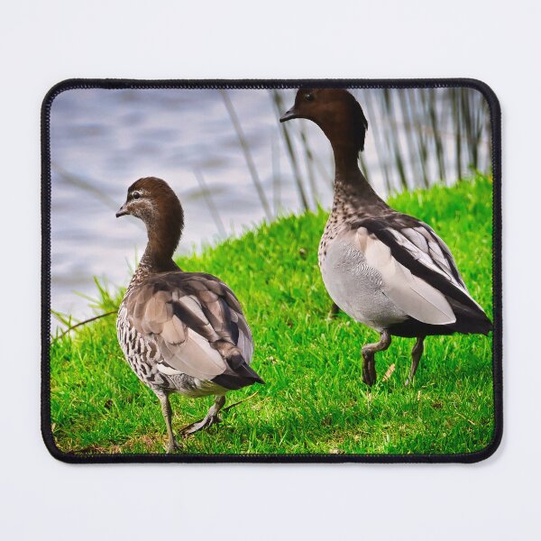 Item preview, Two ducks out for a stroll... designed and sold by Likoca Photography.