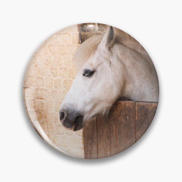 Item preview, White Horse Resting In Rustic Stable Stall With Wooden Door And Brick Wall Background designed and sold by FotoMahieu.