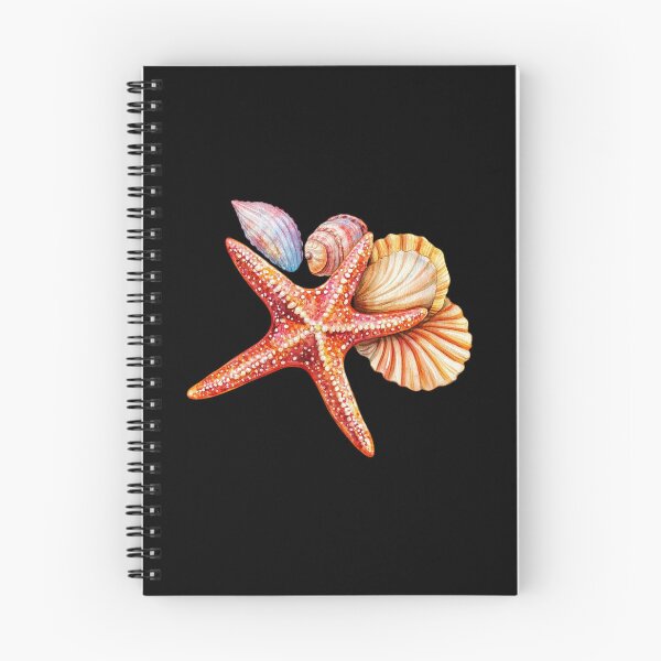 Artikelvorschau, Buntes Arrangement aus Muscheln und Seesternen entworfen und verkauft von Munsonlookfor.