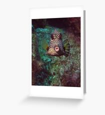 Kissable... hmmm... Greeting Card