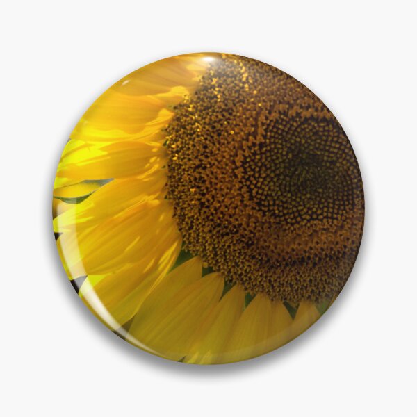 Item preview, Beautiful Yellow Sunflower Closeup designed and sold by MoePhotography.