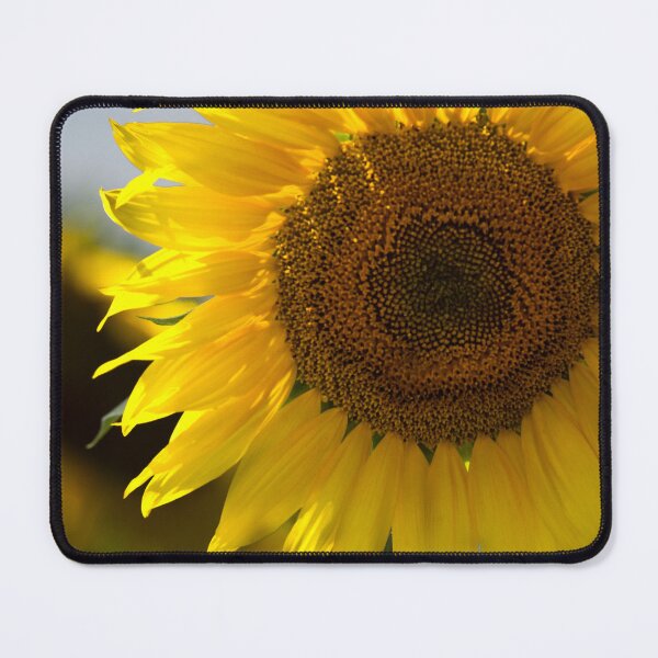 Item preview, Beautiful Yellow Sunflower Closeup designed and sold by MoePhotography.