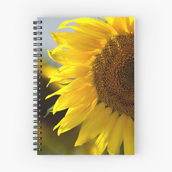 Item preview, Beautiful Yellow Sunflower Closeup designed and sold by MoePhotography.