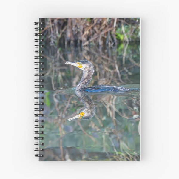 Item preview, Great Cormorant (Phalacrocorax carbo)  designed and sold by Stephen Jarman.