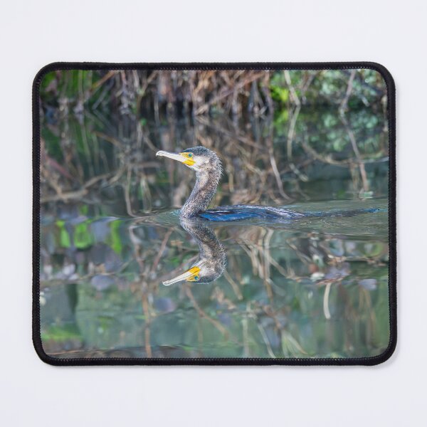 Item preview, Great Cormorant (Phalacrocorax carbo) designed and sold by Stephen Jarman.