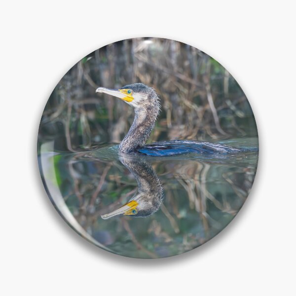 Item preview, Great Cormorant (Phalacrocorax carbo)  designed and sold by Stephen Jarman.
