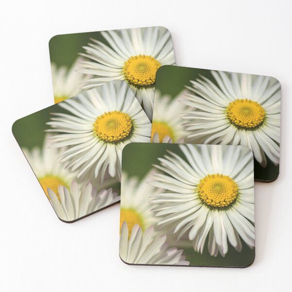 Item preview, Beautiful Dasies designed and sold by MoePhotography.