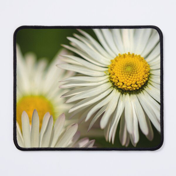 Item preview, Beautiful Dasies designed and sold by MoePhotography.