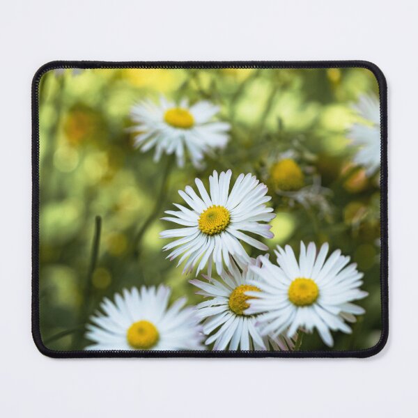 Item preview, Daisies Harmony designed and sold by MoePhotography.