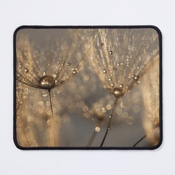 Item preview, Golden Dandelion Dew Drop Macro Art designed and sold by Elżbieta Kaps.