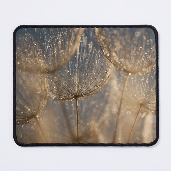 Item preview, Golden Dandelion Heads Dew Drops Magic Art designed and sold by Elżbieta Kaps.