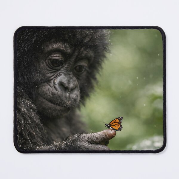 Item preview, A cute baby gorilla looks at a butterfly on its finger designed and sold by Fotografin1981.