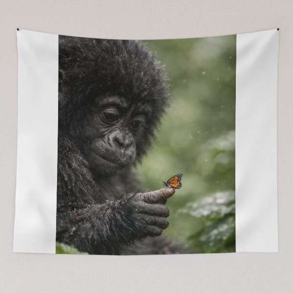 Item preview, A cute baby gorilla looks at a butterfly on its finger designed and sold by Fotografin1981.