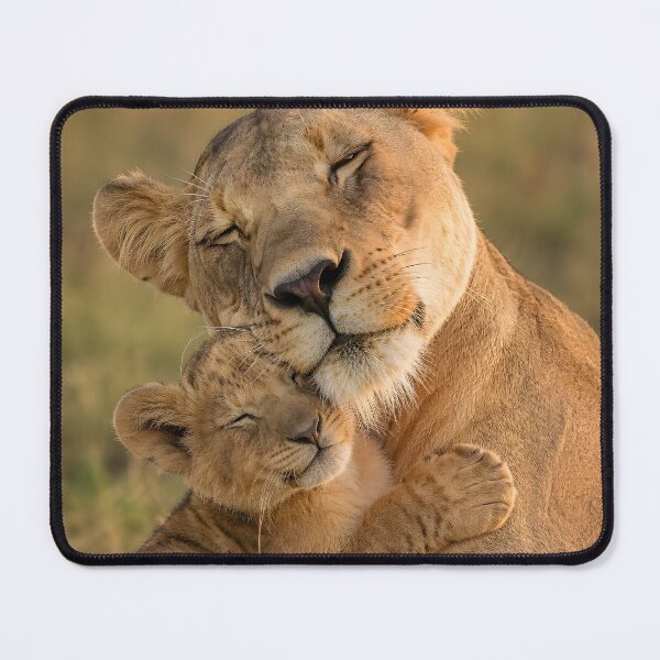 Item preview, A loving lioness lovingly embraces her sweet lion cub. designed and sold by Fotografin1981.