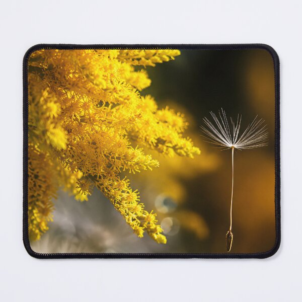 Item preview, Dandelion seed designed and sold by andreisky.