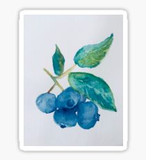 Watercolor Blueberries Sticker
