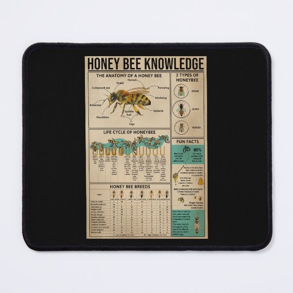 Item preview, Honey Bee Knowledge Educational Poster "Anatomy Life Cycle Fun Facts" Beekeeping Infographic Wall Art Science Print designed and sold by MagicatcoArt.