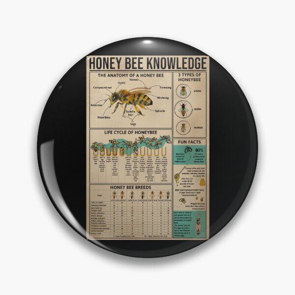 Item preview, Honey Bee Knowledge Educational Poster "Anatomy Life Cycle Fun Facts" Beekeeping Infographic Wall Art Science Print designed and sold by MagicatcoArt.