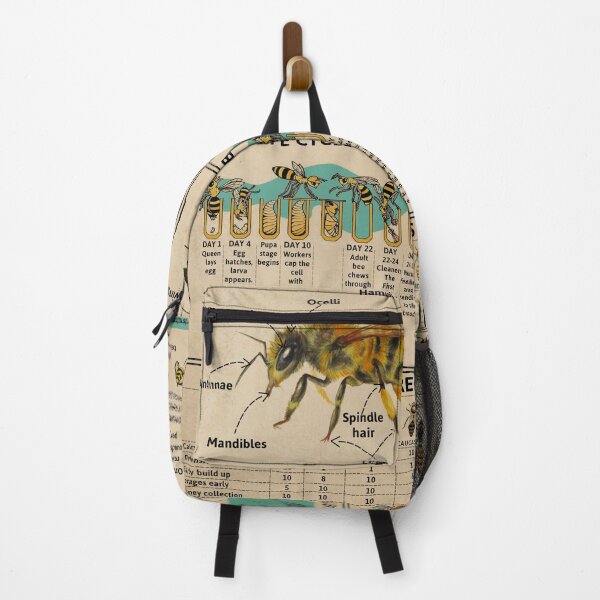 Item preview, Honey Bee Knowledge Educational Poster "Anatomy Life Cycle Fun Facts" Beekeeping Infographic Wall Art Science Print designed and sold by MagicatcoArt.
