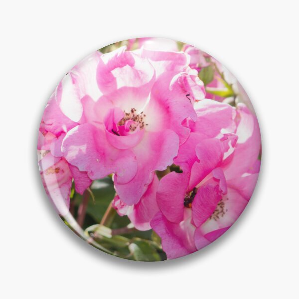 Item preview, Flowers designed and sold by Sestriere.