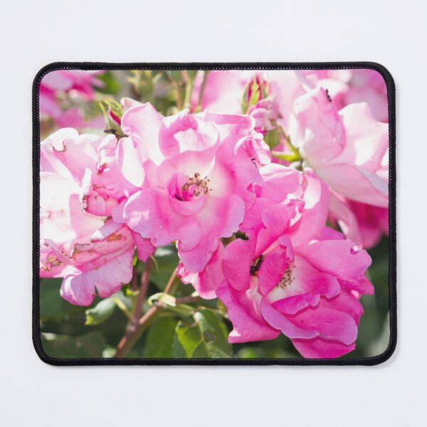 Item preview, Flowers designed and sold by Sestriere.