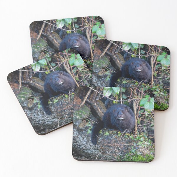 Item preview, American Mink (Neogale vison)  designed and sold by Stephen Jarman.