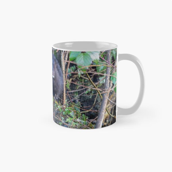 Item preview, American Mink (Neogale vison)  designed and sold by Stephen Jarman.